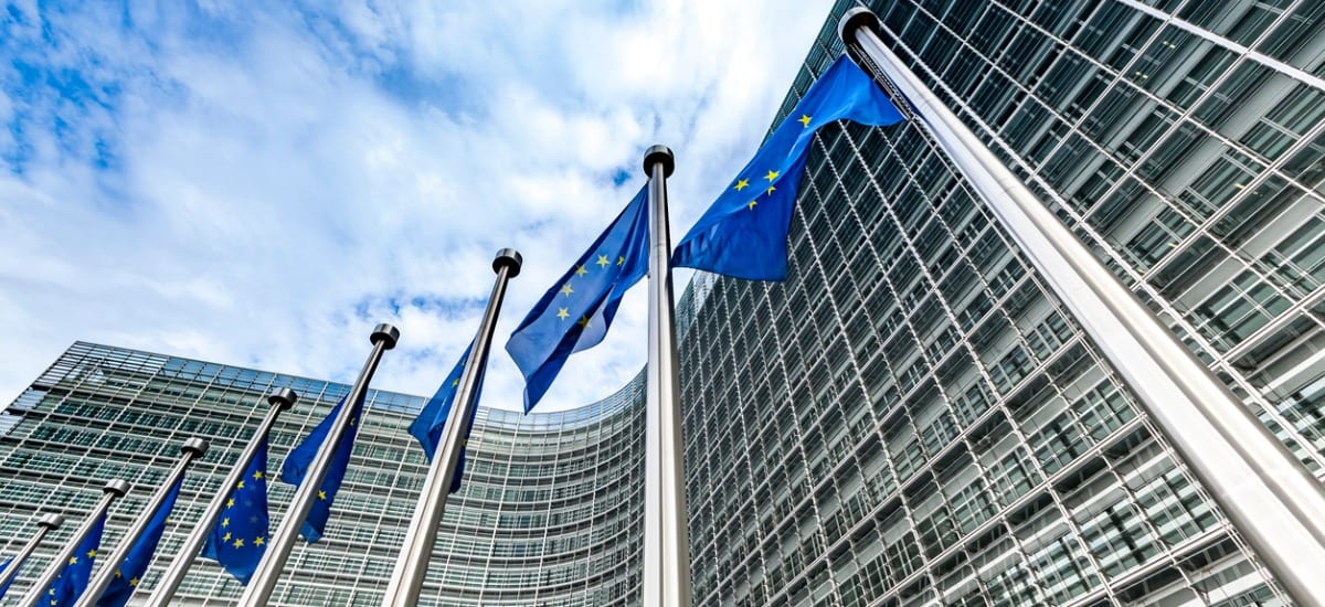 european union flags